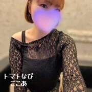 ここあ 出勤予定♡ トマトなび