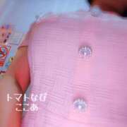 ヒメ日記 2026/07/11 02:47 投稿 ここあ トマトなび