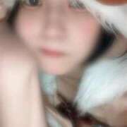 ヒメ日記 2025/12/22 06:01 投稿 アビ COCOMERO（ココメロ）