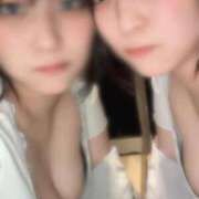 アビ おしごとー！ COCOMERO（ココメロ）