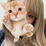 ヒメ日記 2025/09/22 14:32 投稿 ひな 池袋しろパラ