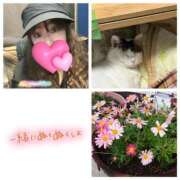 工藤雪菜(くどうゆきな) =?ISO-2022-JP?B?GyRCJCIkQy10GyhCKBskQiEsJyUhLBsoQik=?= 五十路マダムエクスプレス厚木店(カサブランカグループ)