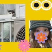 ヒメ日記 2025/12/30 13:44 投稿 工藤雪菜(くどうゆきな) 五十路マダムエクスプレス厚木店(カサブランカグループ)