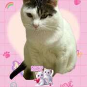 ヒメ日記 2025/12/30 20:26 投稿 工藤雪菜(くどうゆきな) 五十路マダムエクスプレス厚木店(カサブランカグループ)