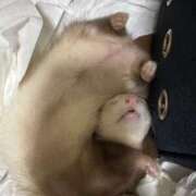 ヒメ日記 2025/12/09 21:45 投稿 神南 BBW鶯谷店