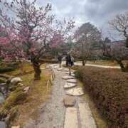 ヒメ日記 2026/03/24 16:23 投稿 神南 BBW鶯谷店