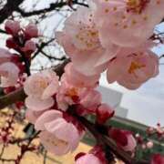 ヒメ日記 2026/03/24 17:44 投稿 神南 BBW鶯谷店