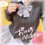 ヒメ日記 2026/02/20 12:20 投稿 しあん 萌えカワ