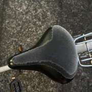 ヒメ日記 2025/12/28 07:55 投稿 桜楽/さら ANEJE～アネージュ池袋～(ユメオト)