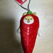 ヒメ日記 2026/03/11 13:54 投稿 桜楽/さら ANEJE～アネージュ池袋～(ユメオト)