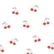 ヒメ日記 2025/11/27 00:10 投稿 ねる 千葉ミセスアロマ（ユメオト）