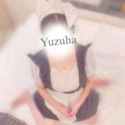 ヒメ日記 2025/12/26 08:28 投稿 ゆずは 静岡駅前ちゃんこ