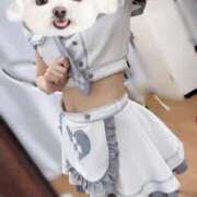 ヒメ日記 2025/12/22 15:55 投稿 早乙女りず 池袋手コキパラダイス　見習い天使とイタズラ小悪魔