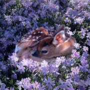 ヒメ日記 2025/11/19 08:43 投稿 るみ TSUBAKI(ツバキ)松山店