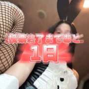 ヒメ日記 2025/11/23 03:01 投稿 れい【大人気！天空極上泡洗体】 天空のマット