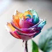 心琴　みこと（43） ありがとう 出会い系人妻ネットワーク 熊谷編