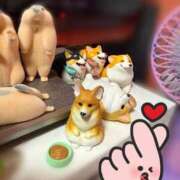 ヒメ日記 2025/11/29 20:00 投稿 錦城 BBW鶯谷店