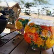 ヒメ日記 2026/01/26 12:35 投稿 錦城 BBW鶯谷店