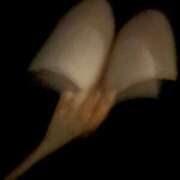 ヒメ日記 2025/09/18 20:20 投稿 ちさき イキなり生彼女from大宮