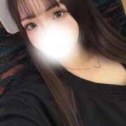 ヒメ日記 2025/10/15 12:38 投稿 ホシザメ　星鮫 女の子市場