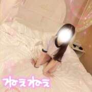 ヒメ日記 2025/10/17 17:48 投稿 ホシザメ　星鮫 女の子市場