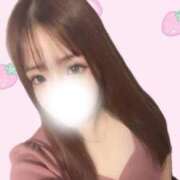 ヒメ日記 2025/10/18 10:38 投稿 ホシザメ　星鮫 女の子市場