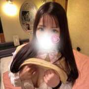 ヒメ日記 2026/01/13 18:08 投稿 ホシザメ　星鮫 女の子市場