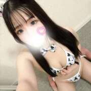 ヒメ日記 2026/02/17 15:38 投稿 ホシザメ　星鮫 女の子市場