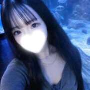 ヒメ日記 2026/08/21 10:58 投稿 ホシザメ　星鮫 女の子市場