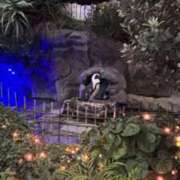 ヒメ日記 2025/10/21 21:14 投稿 のあ Club Melty