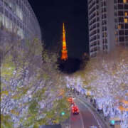 のあ おはよう꒰ᐡ⸝ɞ̴̶̷ ·̮ ɞ̴̶̷⸝ᐡ꒱ Club Melty