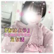 ヒメ日記 2026/03/26 07:33 投稿 ひな ふわメロ