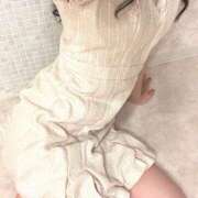 ヒメ日記 2025/09/14 17:36 投稿 かりな ハピネス東京 吉原店