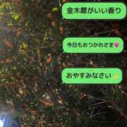 ヒメ日記 2025/11/06 00:06 投稿 峰果 優 人妻セレブ宮殿