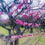 ヒメ日記 2026/03/28 11:22 投稿 峰果 優 人妻セレブ宮殿