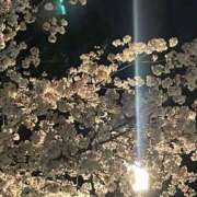 ヒメ日記 2026/04/04 16:47 投稿 峰果 優 人妻セレブ宮殿