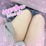 ヒメ日記 2025/10/11 20:12 投稿 すい 密着！バカンス学園 姫路校