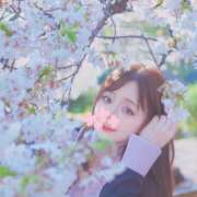 ヒメ日記 2026/04/03 20:56 投稿 美月こころ 多恋人倶楽部