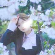 ヒメ日記 2026/04/12 21:46 投稿 美月こころ 多恋人倶楽部