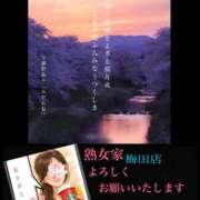 ヒメ日記 2026/04/14 19:57 投稿 みら 熟女家 梅田店