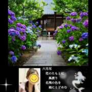 ヒメ日記 2026/07/11 09:43 投稿 みら 熟女家 梅田店