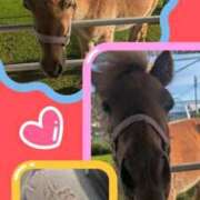 ヒメ日記 2026/01/04 20:14 投稿 きよか 沖縄ちゃんこ那覇店