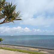 ヒメ日記 2026/02/19 07:05 投稿 きよか 沖縄ちゃんこ那覇店