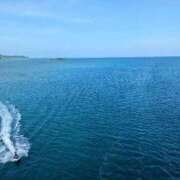 ヒメ日記 2026/02/27 07:14 投稿 きよか 沖縄ちゃんこ那覇店