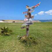 ヒメ日記 2026/03/20 07:14 投稿 きよか 沖縄ちゃんこ那覇店