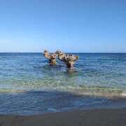 ヒメ日記 2026/03/25 07:14 投稿 きよか 沖縄ちゃんこ那覇店