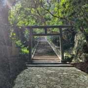 ヒメ日記 2026/04/22 07:04 投稿 きよか 沖縄ちゃんこ那覇店