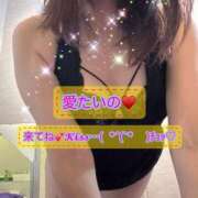 ヒメ日記 2025/12/24 12:45 投稿 氷室 あんり SUMIRE