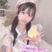 ヒメ日記 2025/09/21 23:28 投稿 らん E+アイドルスクール　大阪・日本橋店