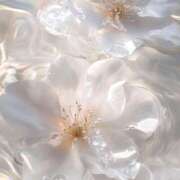 ヒメ日記 2025/12/12 13:48 投稿 深瀬萌歌 お姉さんCLUB